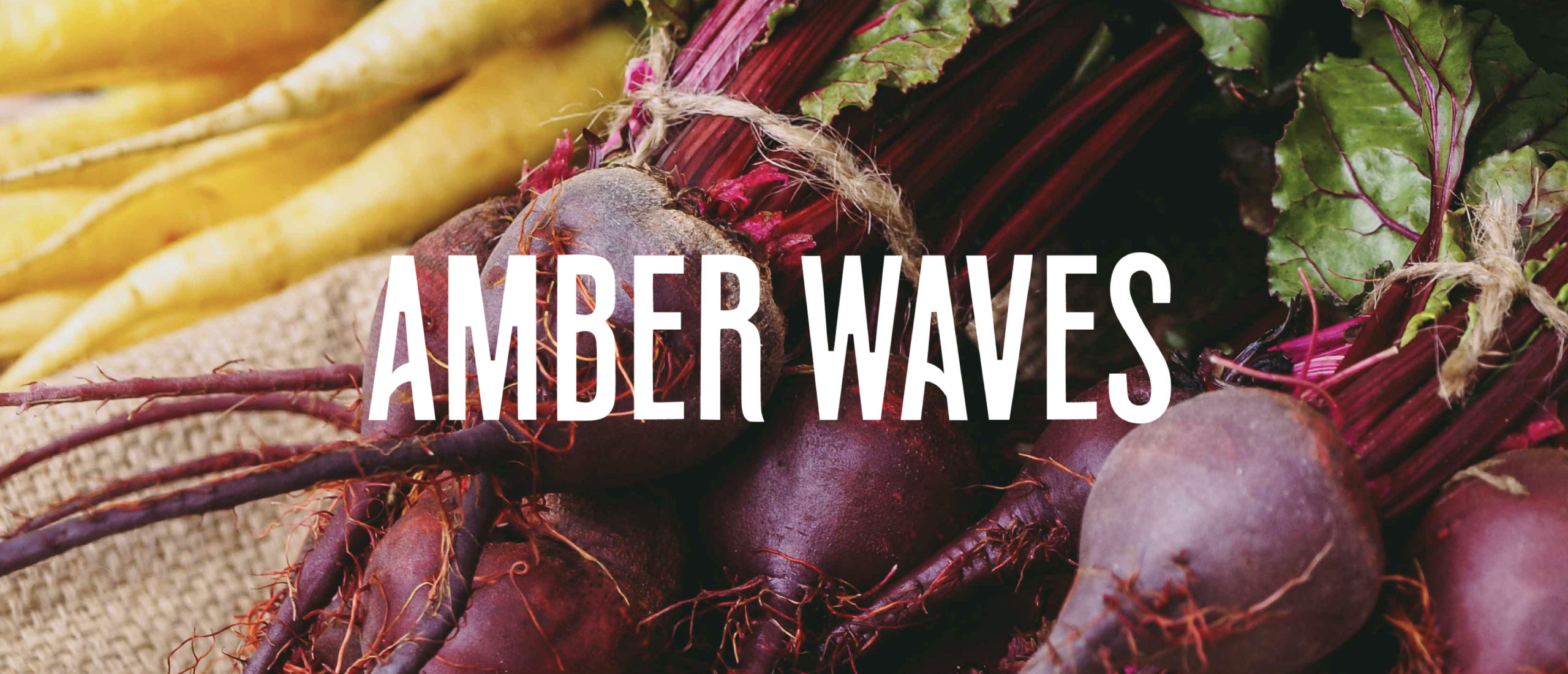 MAAM-Amber-Waves-Veggie-Logo