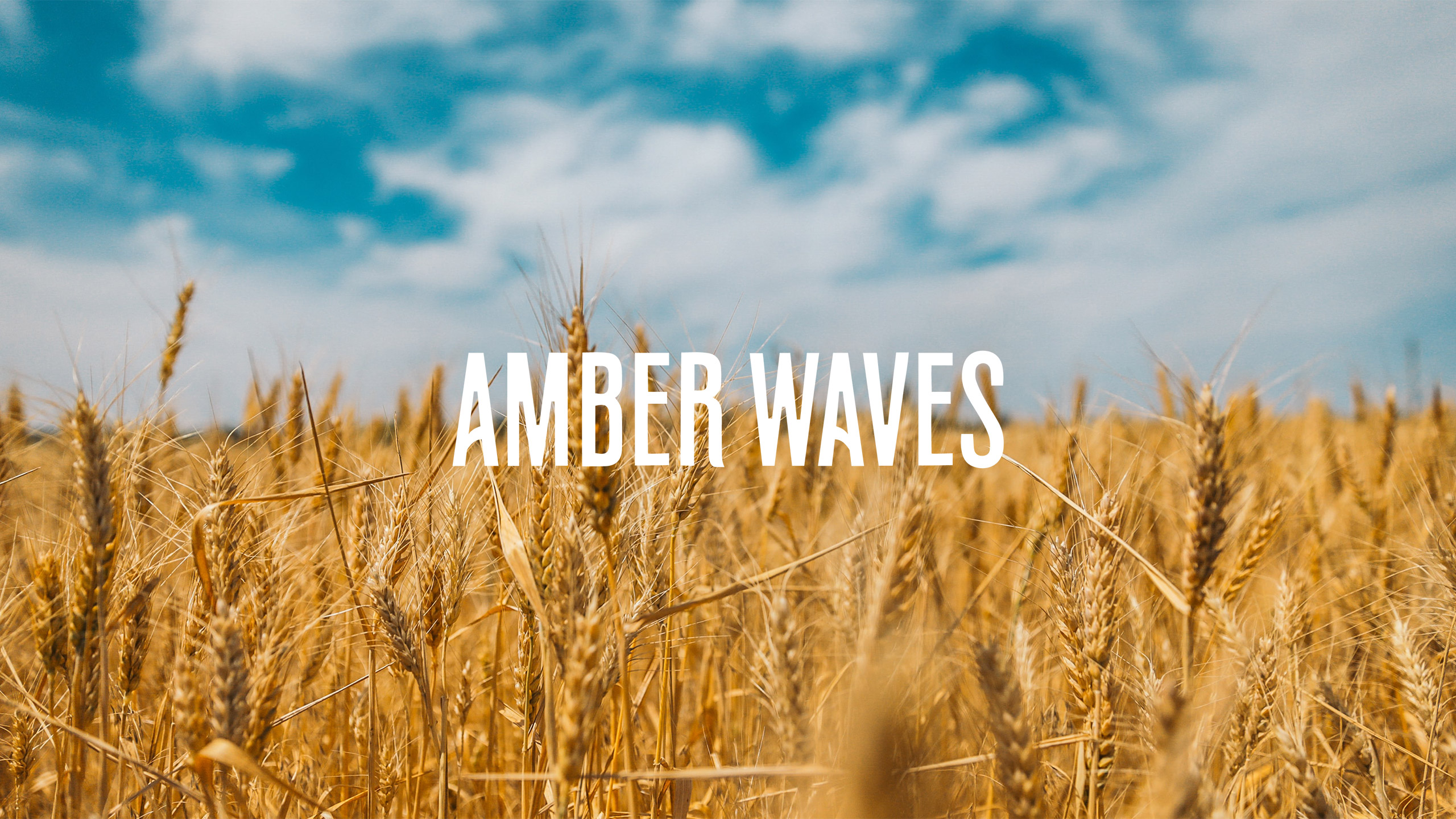 MAAM_Amber-Waves_Cover