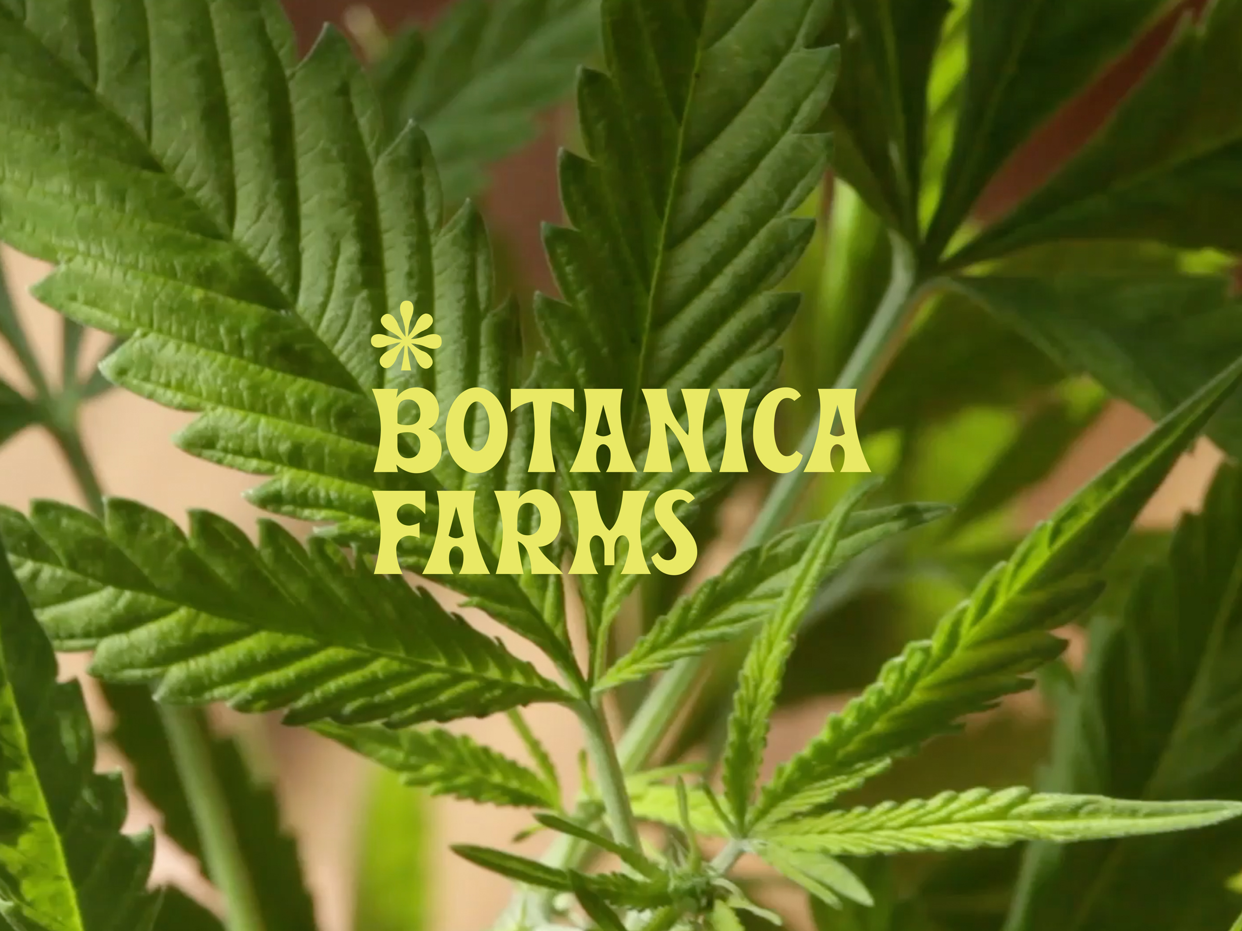 Botanica Farms