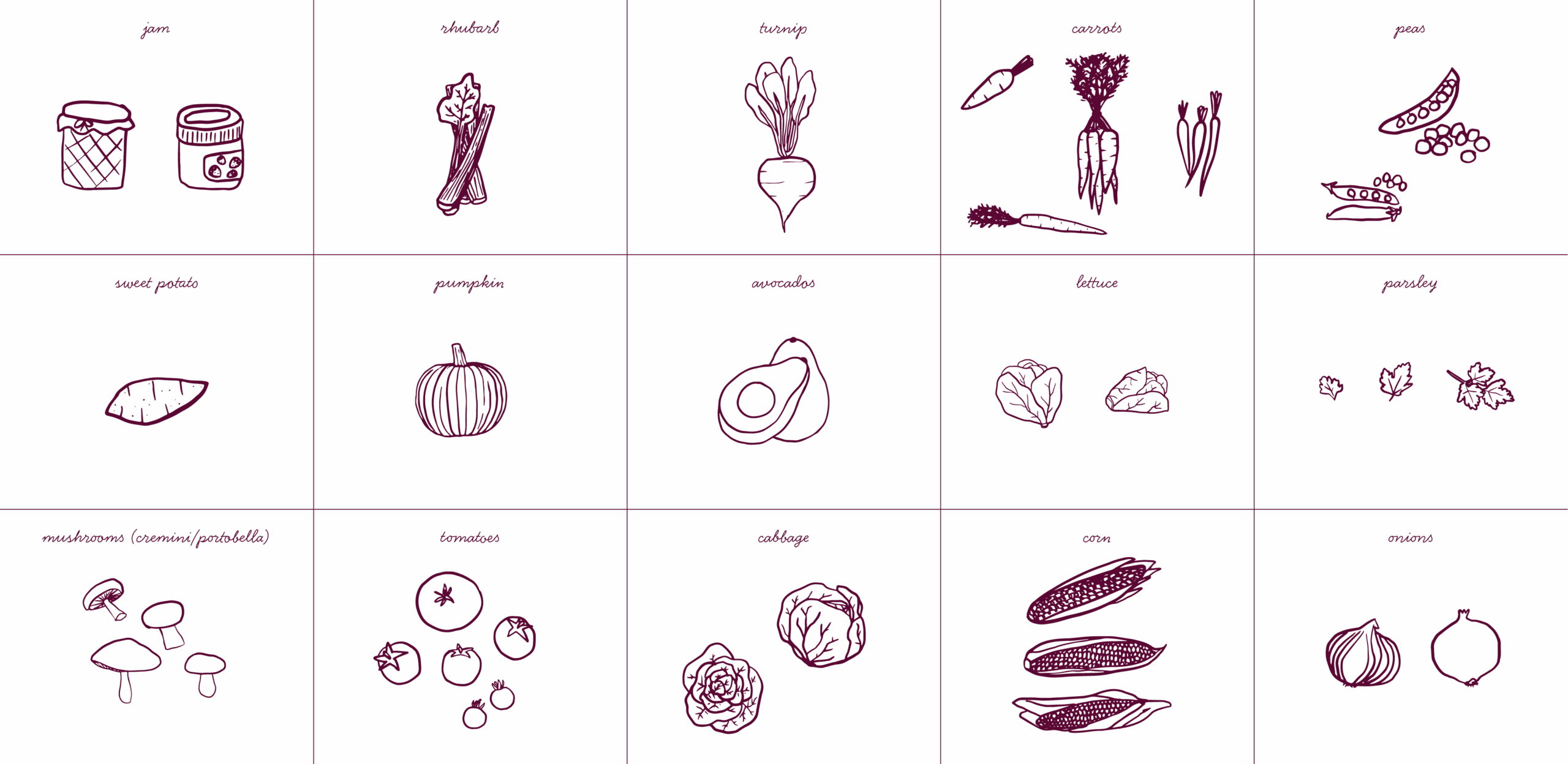 PieBird_Illustrations_02